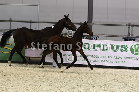 PAN CARRE_MILANO_2010_SS3_8369.jpg